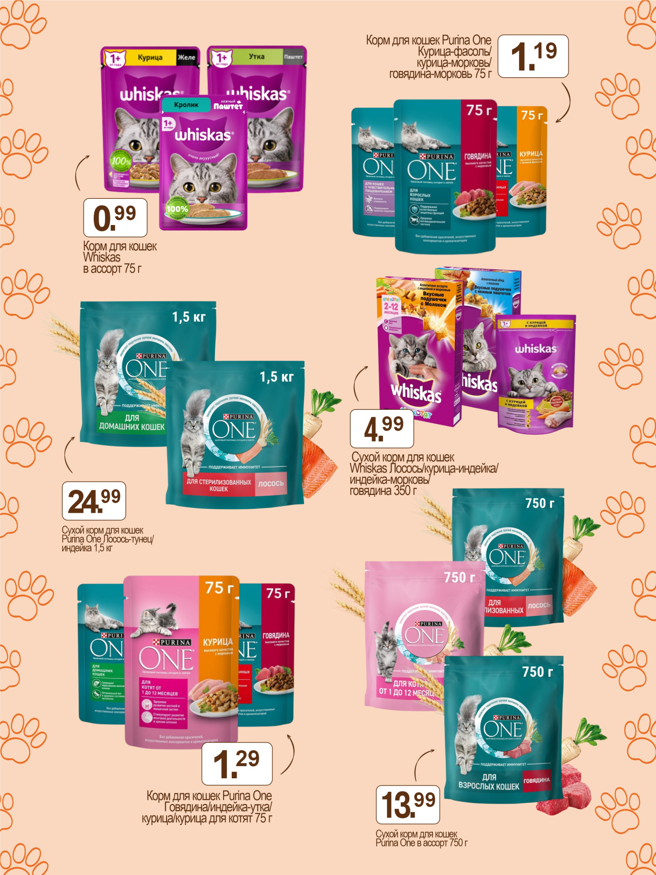 День кота ГИППО 09.04.jpg