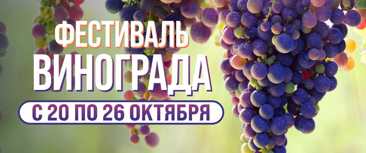 Сайт Гиппо.jpg