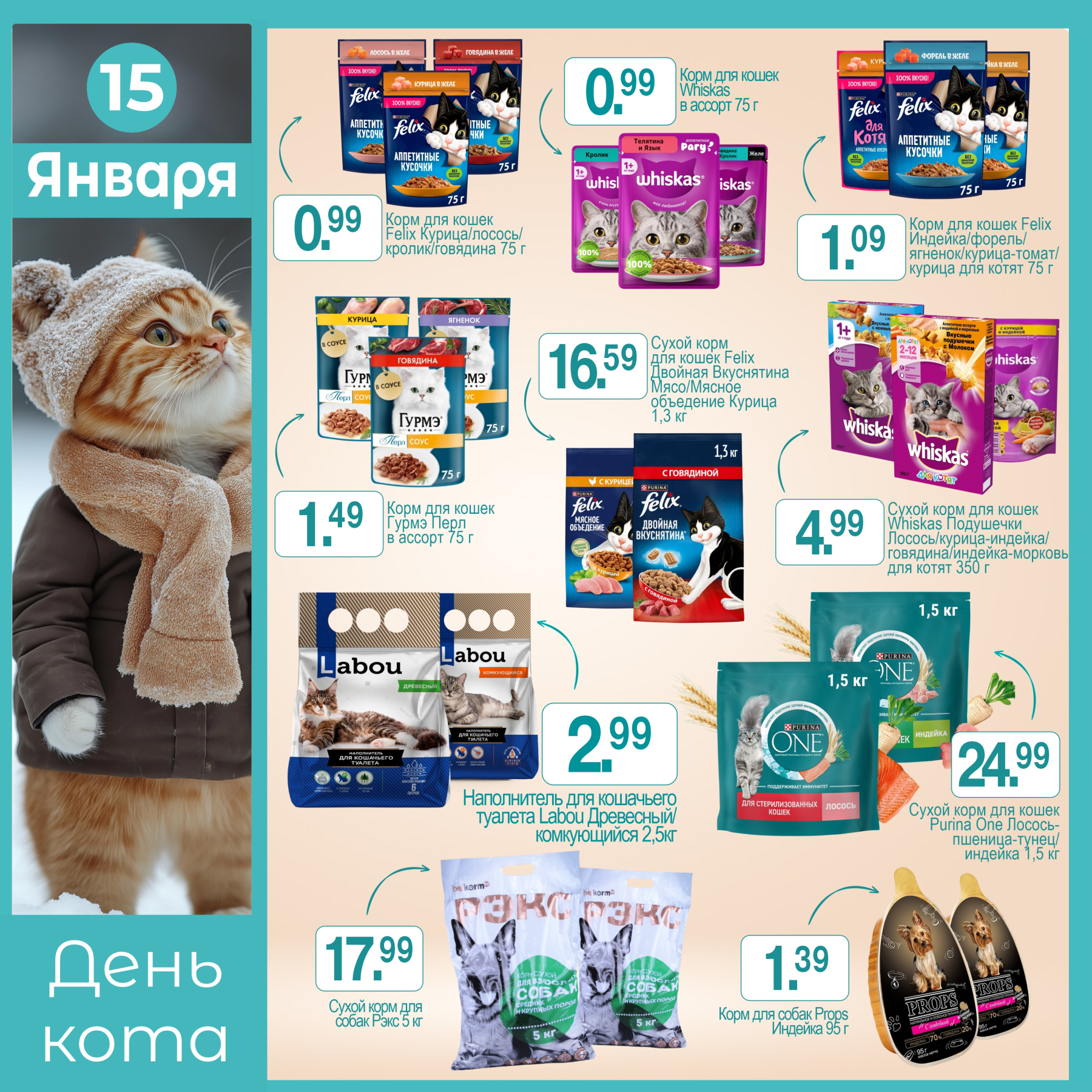 День кота 15.01.jpg