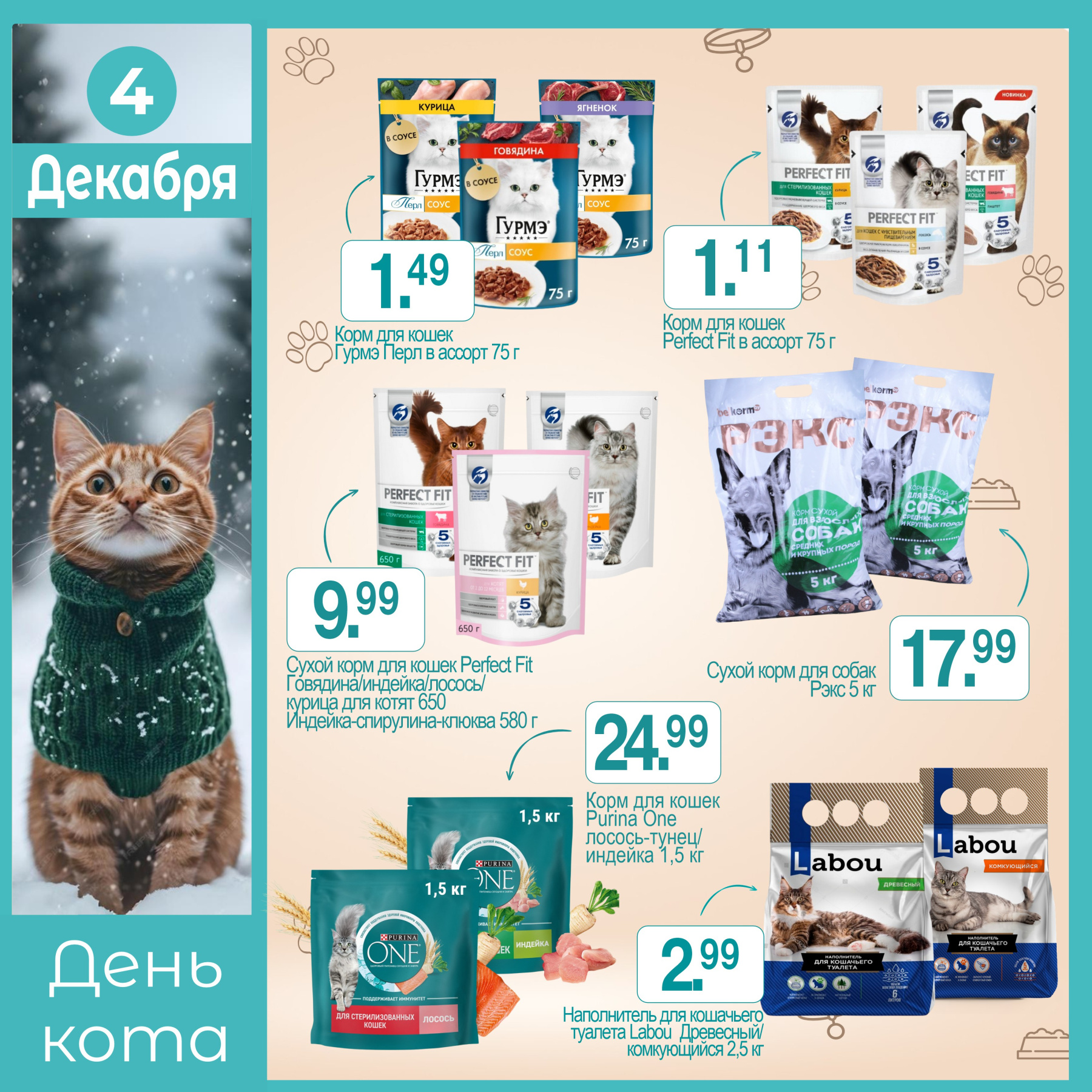 День кота 04.12.jpg