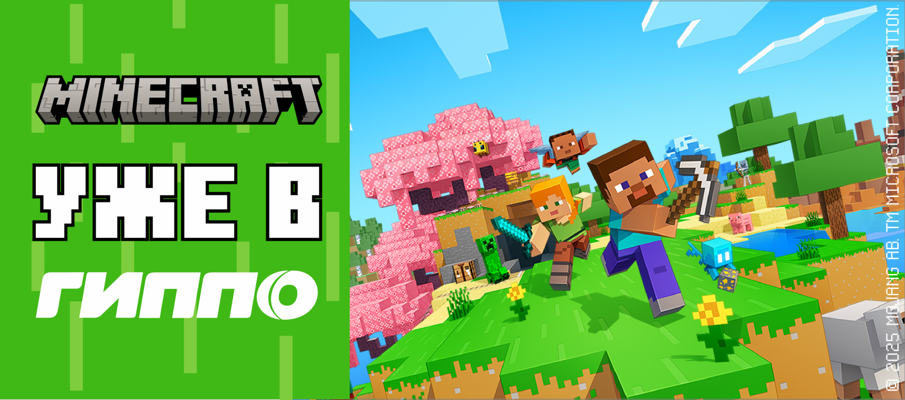 Уже в гиппо.jpg Уже в гиппо.jpg