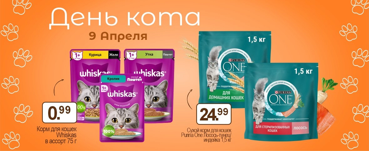 День Кота