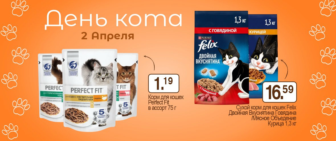 День Кота