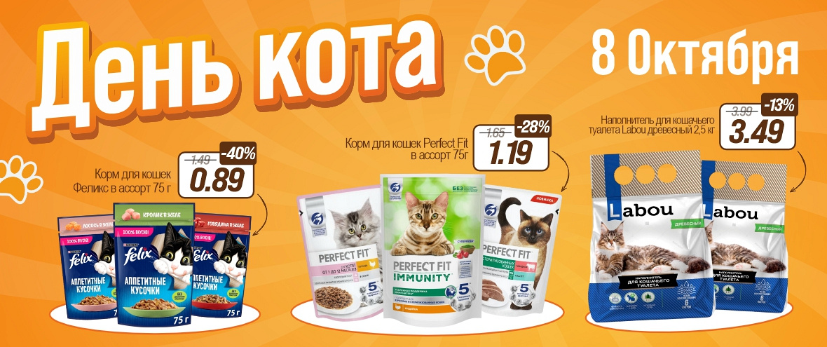 День Кота