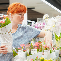 Открытие супермаркета на Одинцова, 65