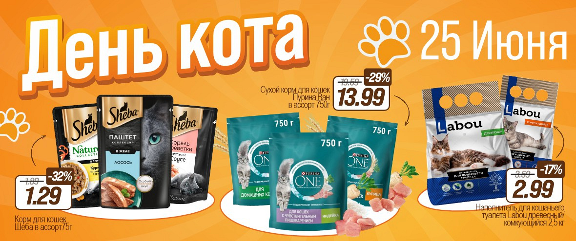 День Кота
