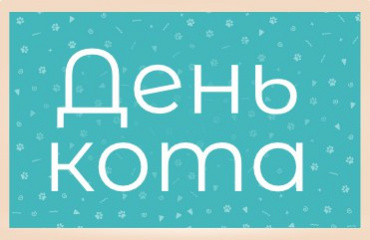 День кота в ГИППО!