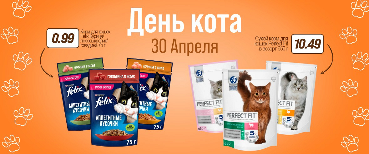 День Кота