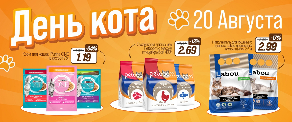 День Кота