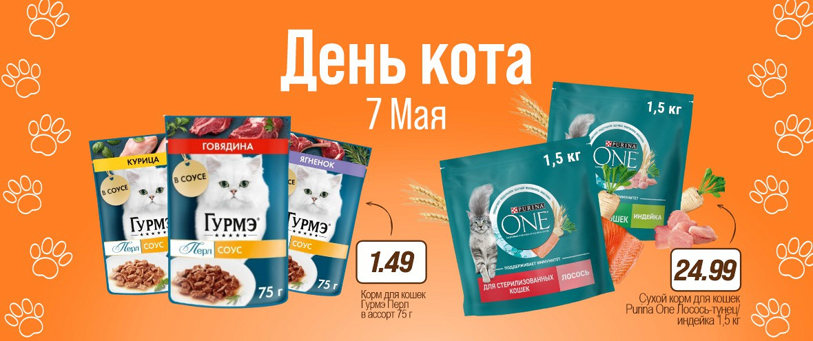 День Кота