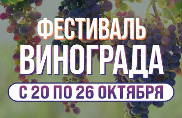 Фестиваль винограда в ГИППО!