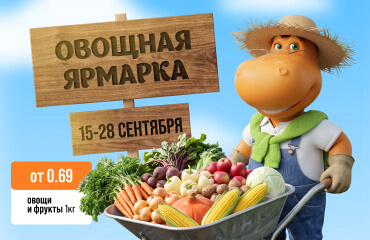 Овощная ярмарка в ГИППО!