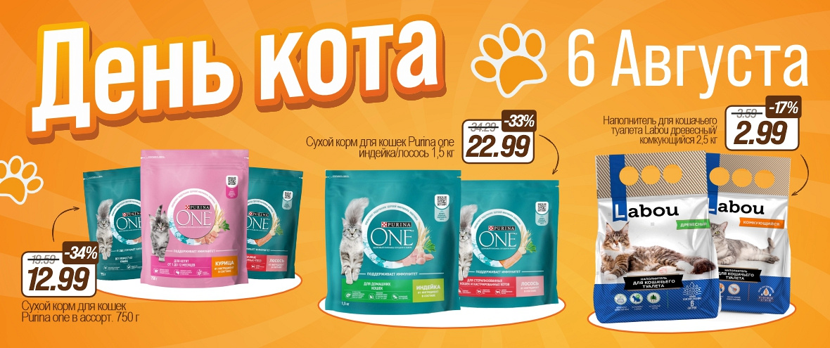 День Кота