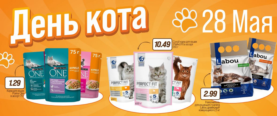 День Кота