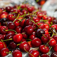 Открытие супермаркета на Одинцова, 65