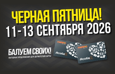 Чёрная пятница в ГИППО