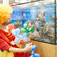 Новый супермаркет в Боровлянах