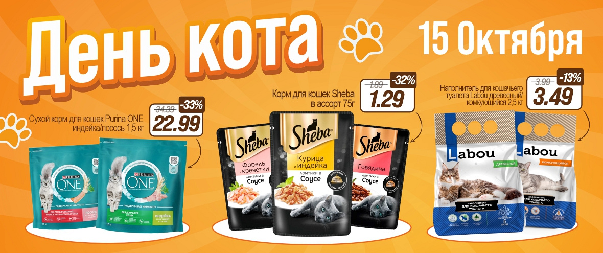 День Кота