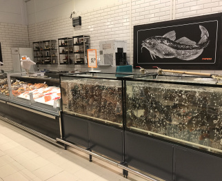 г. Витебск, ул. Генерала Белобородова, 2А