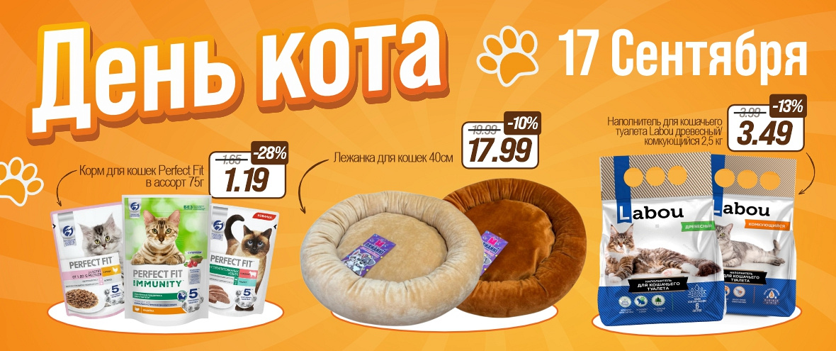 День Кота