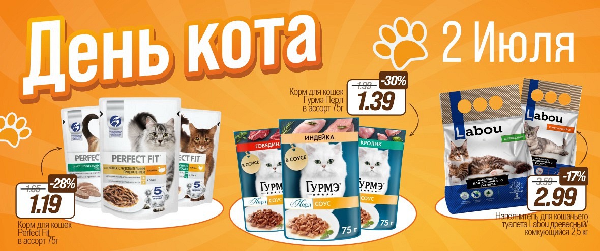 День Кота