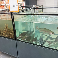 Новый Гиппо в ТЦ МОМО уже открыт!