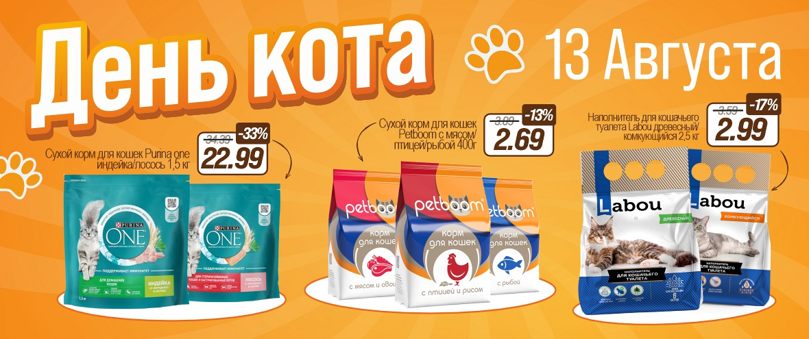 День Кота