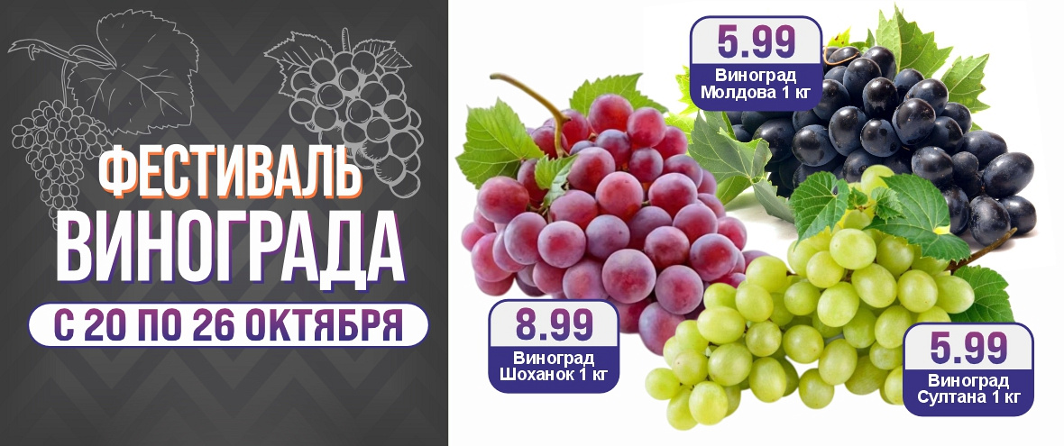 Фестиваль винограда в ГИППО!