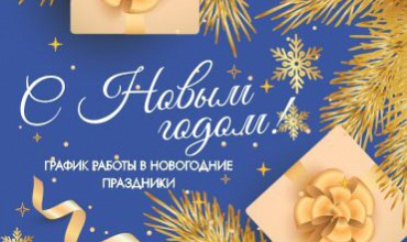 Режим работы ГИППО в новогодние праздники