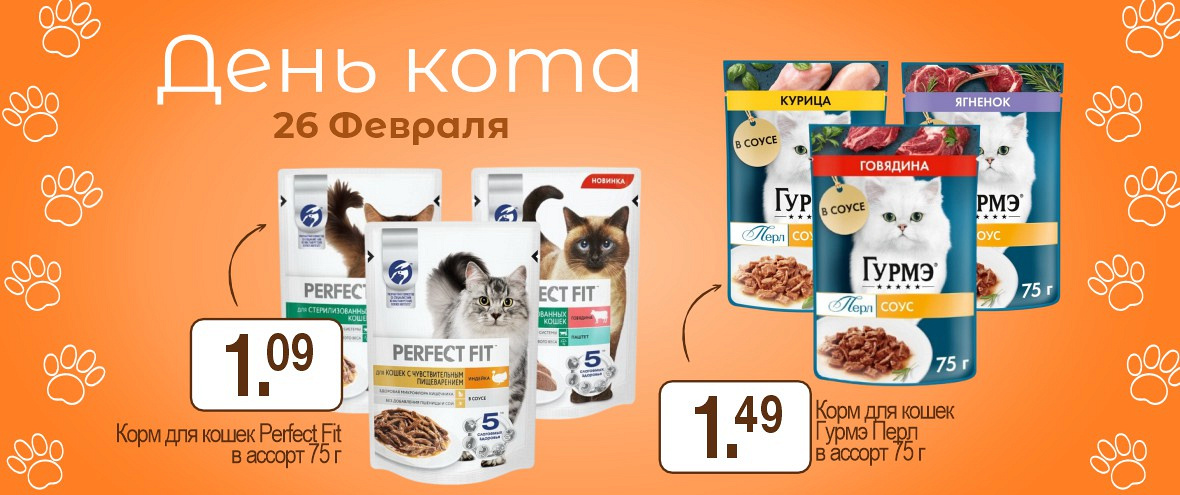 День Кота