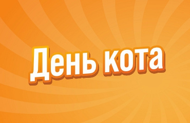 День кота в ГИППО!
