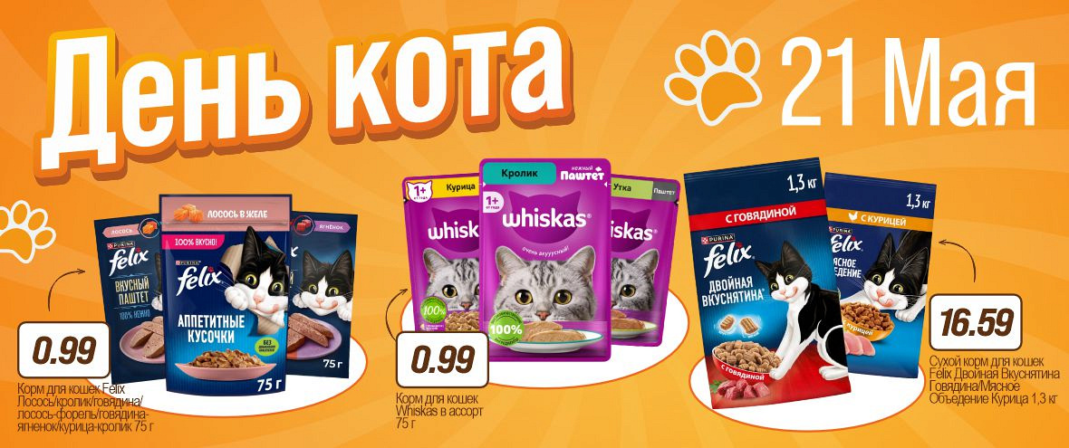 День Кота