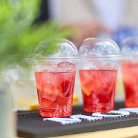 ГИППО 20 лет!