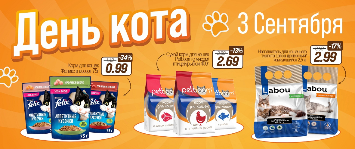 День Кота