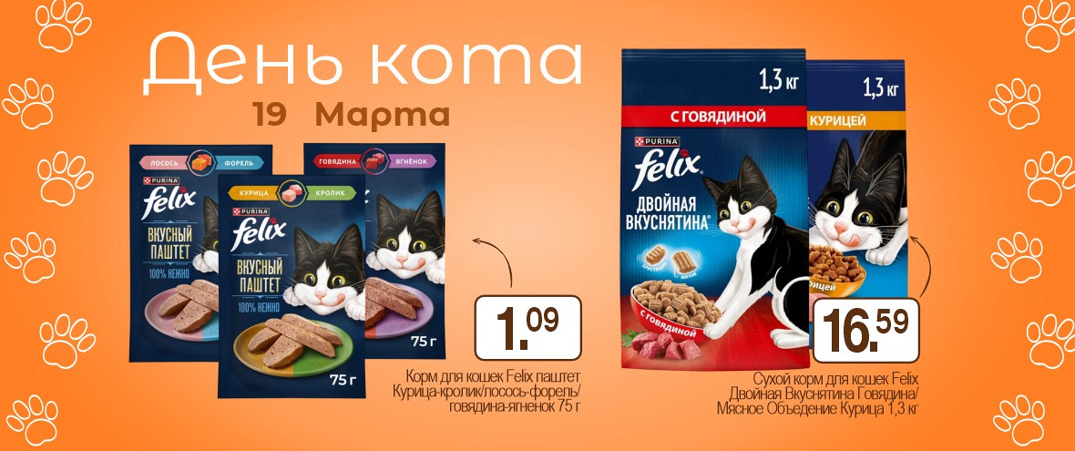 День Кота