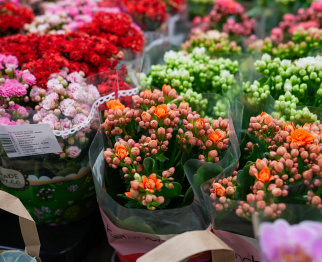 г. Минск, ул. Одинцова, 65 г. Минск, ул. Одинцова, 65