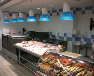 г. Могилев, ул. Мовчанского, 6