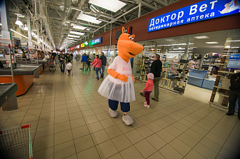 День танца в Гиппо