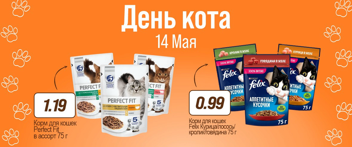 День Кота